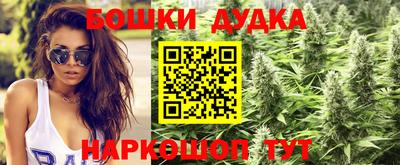 ГАЛЛЮЦИНОГЕННЫЕ ГРИБЫ Краснокаменск