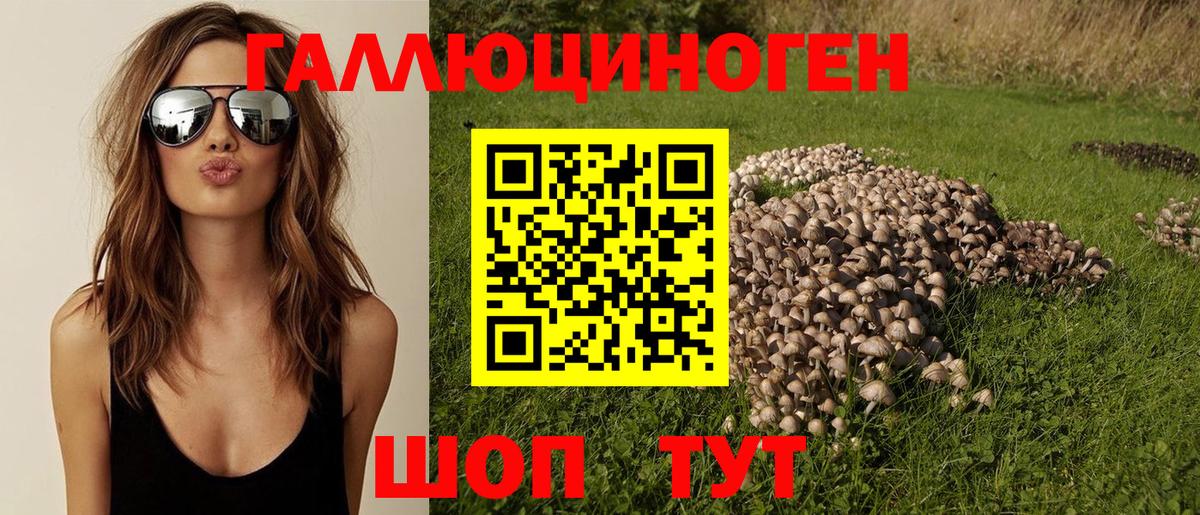 Галлюциногенные грибы GOLDEN TEACHER  Вход с VPN  Дагестанские Огни 